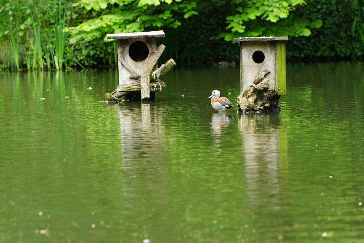 Gaestewohnung Hardinghaus Am Teich Warendorf Exterior photo